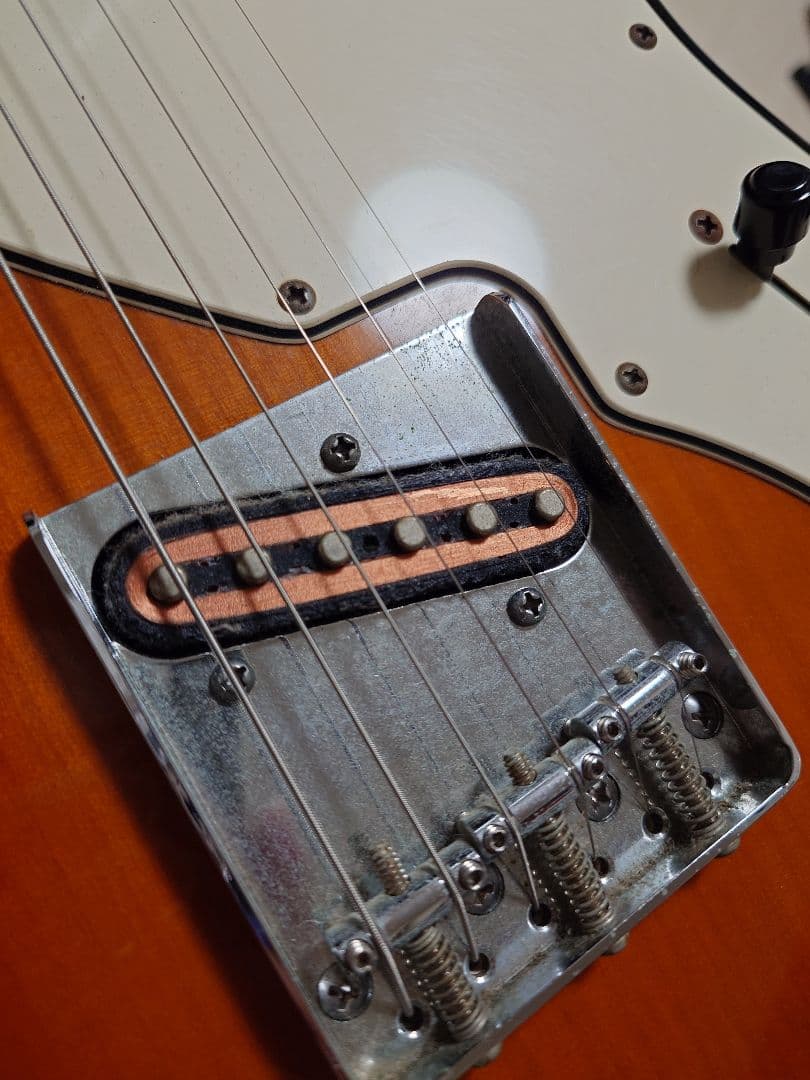 Bacchus 帯ロゴ テレキャスターシンライン