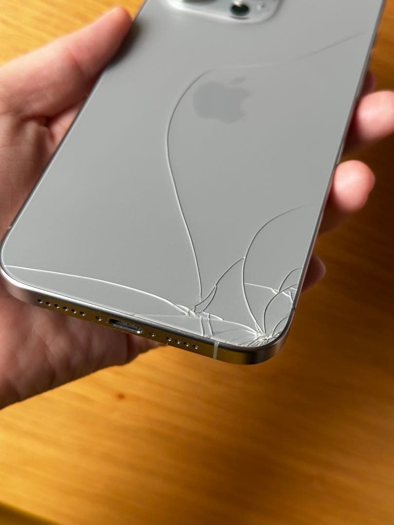 [山口さん専用]Apple iPhone 15 Pro Max 256GB 本体