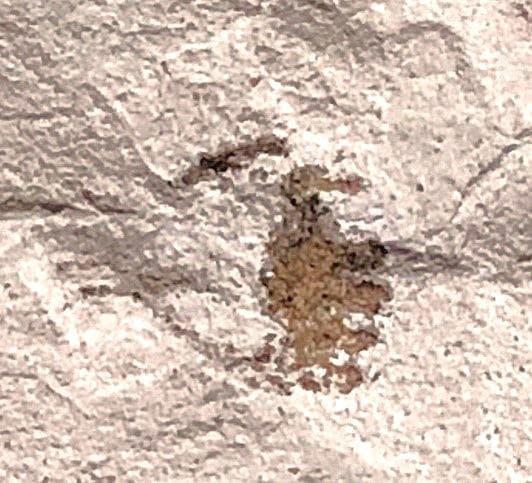 【 エジプト壁画彫刻 】　石灰岩断片　コレクター放出