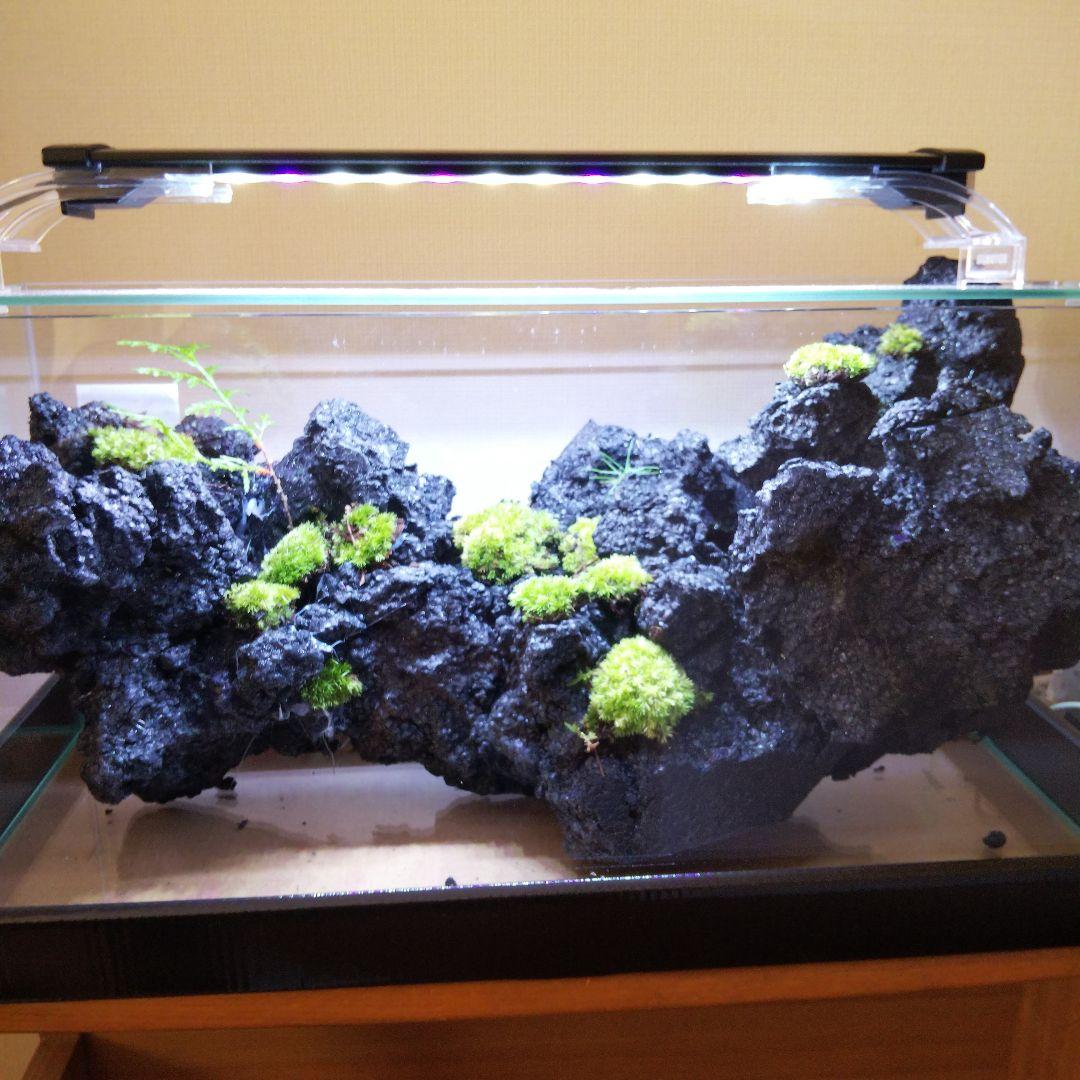 【オーダーメイド】滝のあるアクアテラリウム　苔テラリウム　アクアリウム