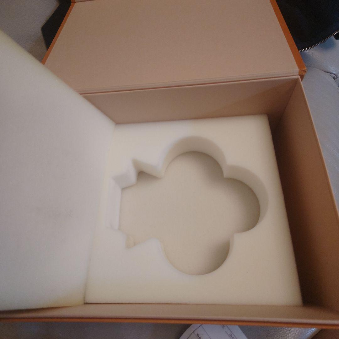 超希少　ヴィヴィエンヌ　アリゲーター