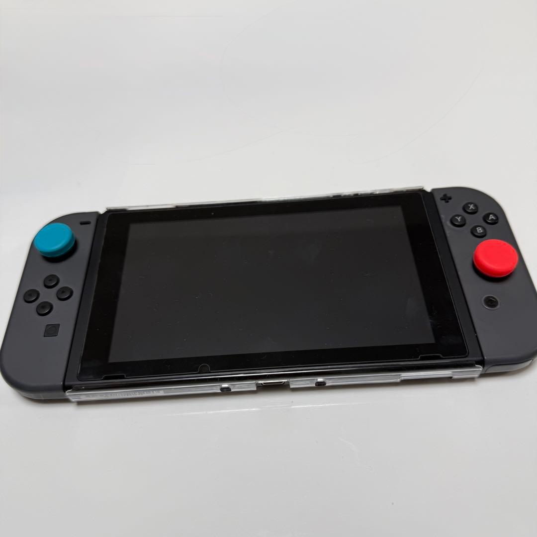 ぺ*い様 Nintendo Switch 本体 + 付属品+micro SD25