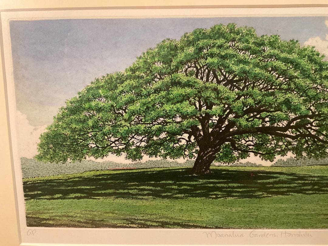 キャロルコレット「MOANALUA GARDEN 」銅版画＋手彩色　直筆サイン有