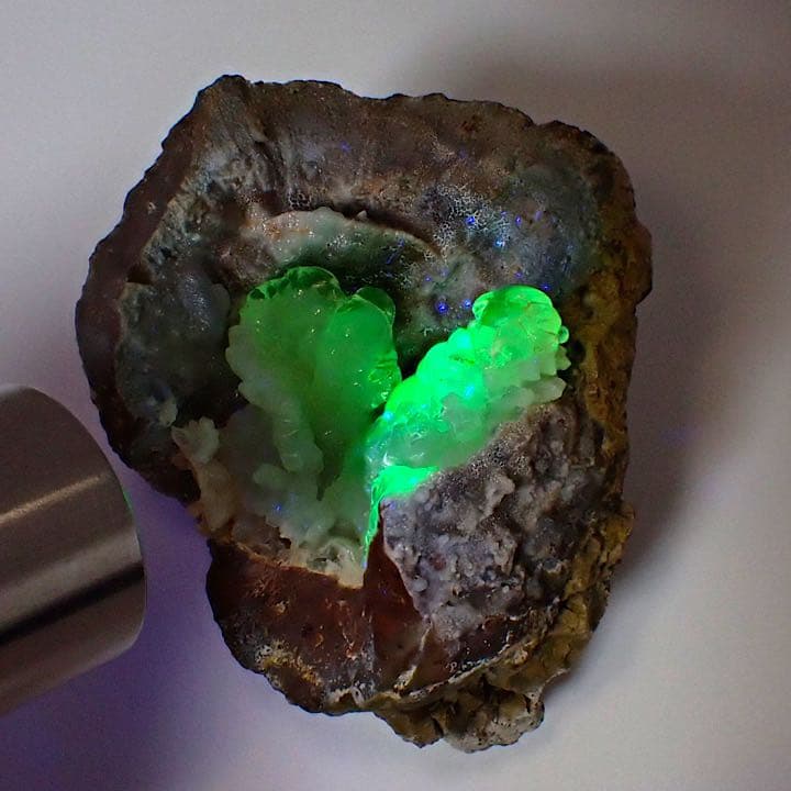 【メキシコ/サンフェリップ産】ハイアライトオパール原石