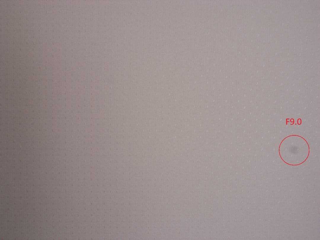 【難あり】RICOH 初代 GR DIGITAL + ワイコンGW-1