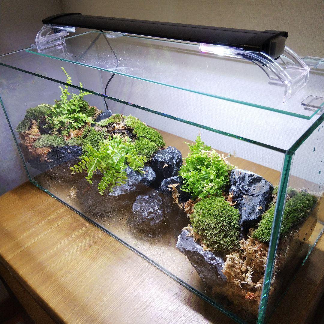 もじのすけページ