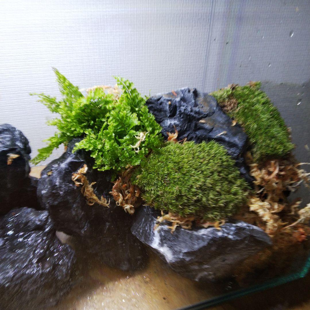 もじのすけページ