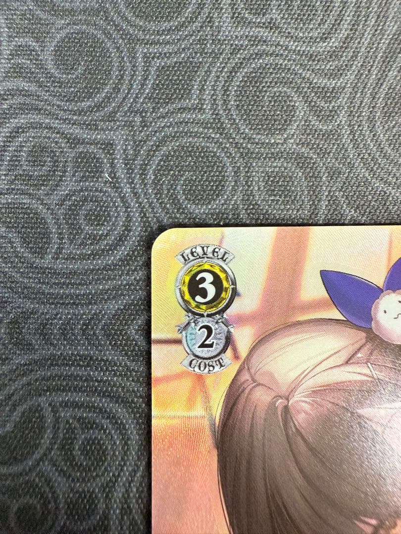 友だちと一緒なら！ ナガ SP サイン ヴァイスシュヴァルツ