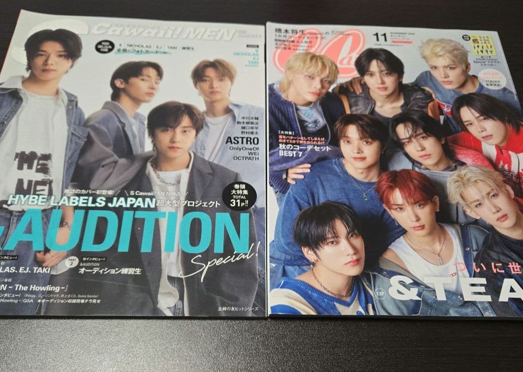 &TEAM　Tシャツ　雑誌　CD　トレカ　フォトカ　K　ニコラス　ハルア　など