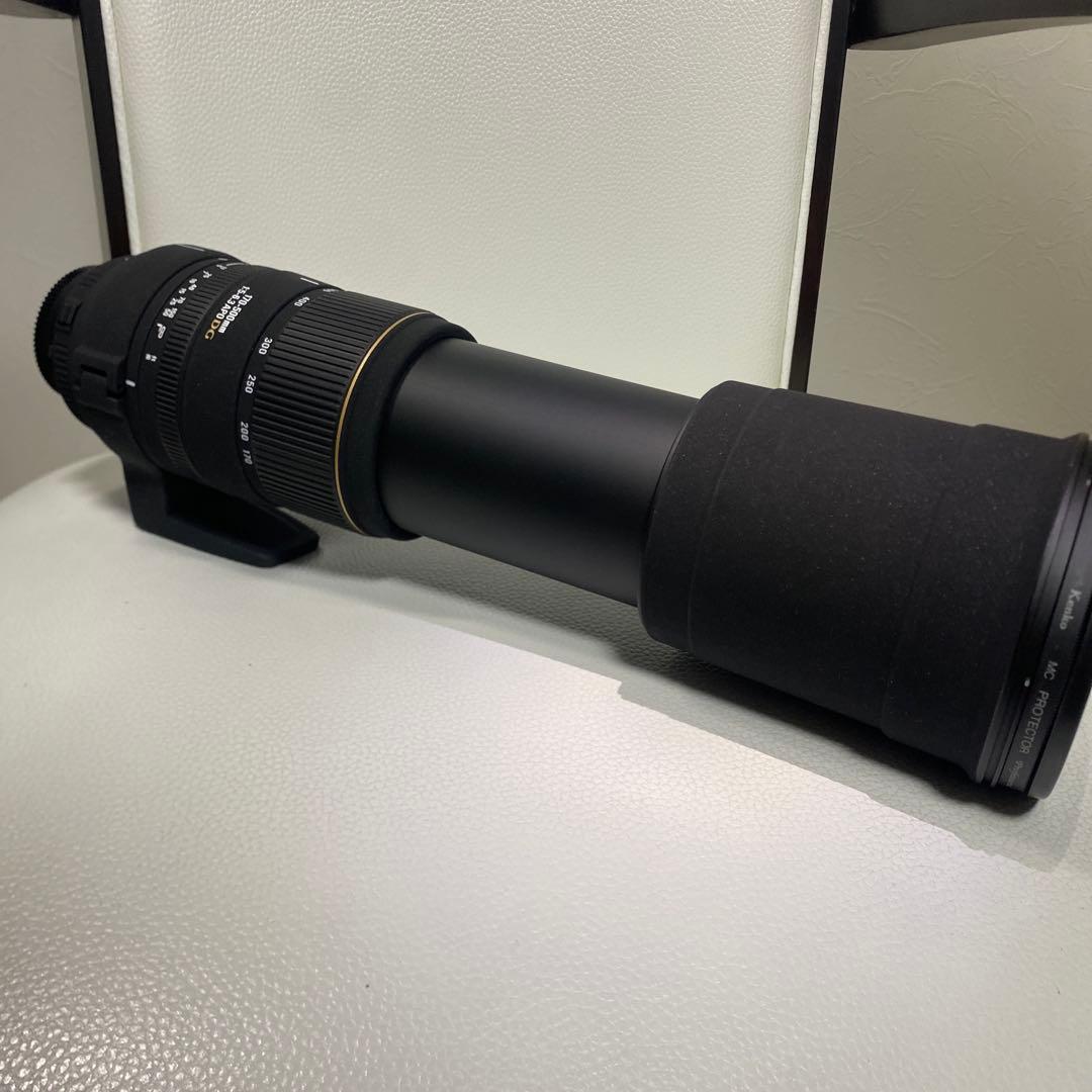 Nikon 170-500mm 1:5-6.3 APO DG(バッグ、フード)