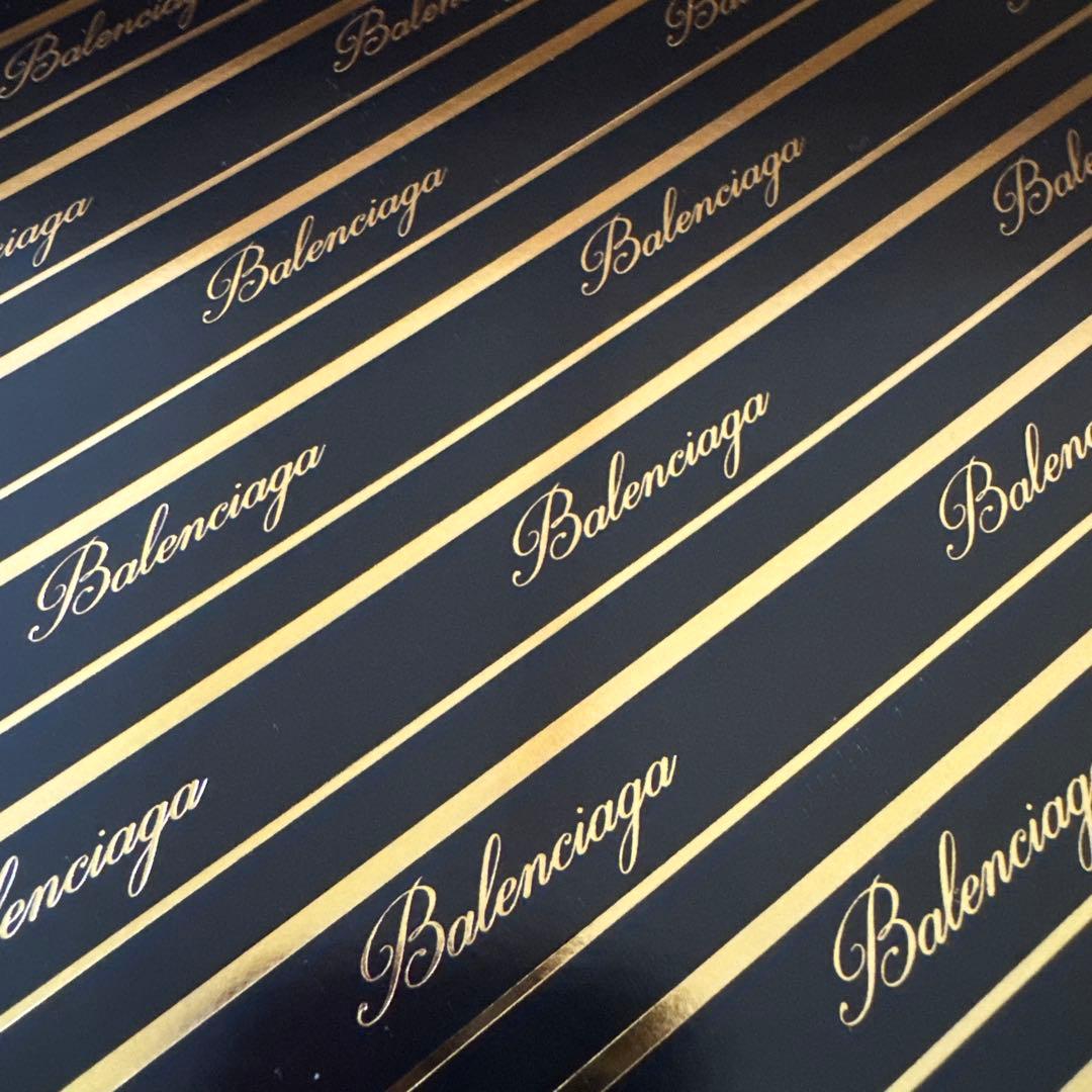 hhy　BALENCIAGA スケーター　Tシャツ　L サイズ