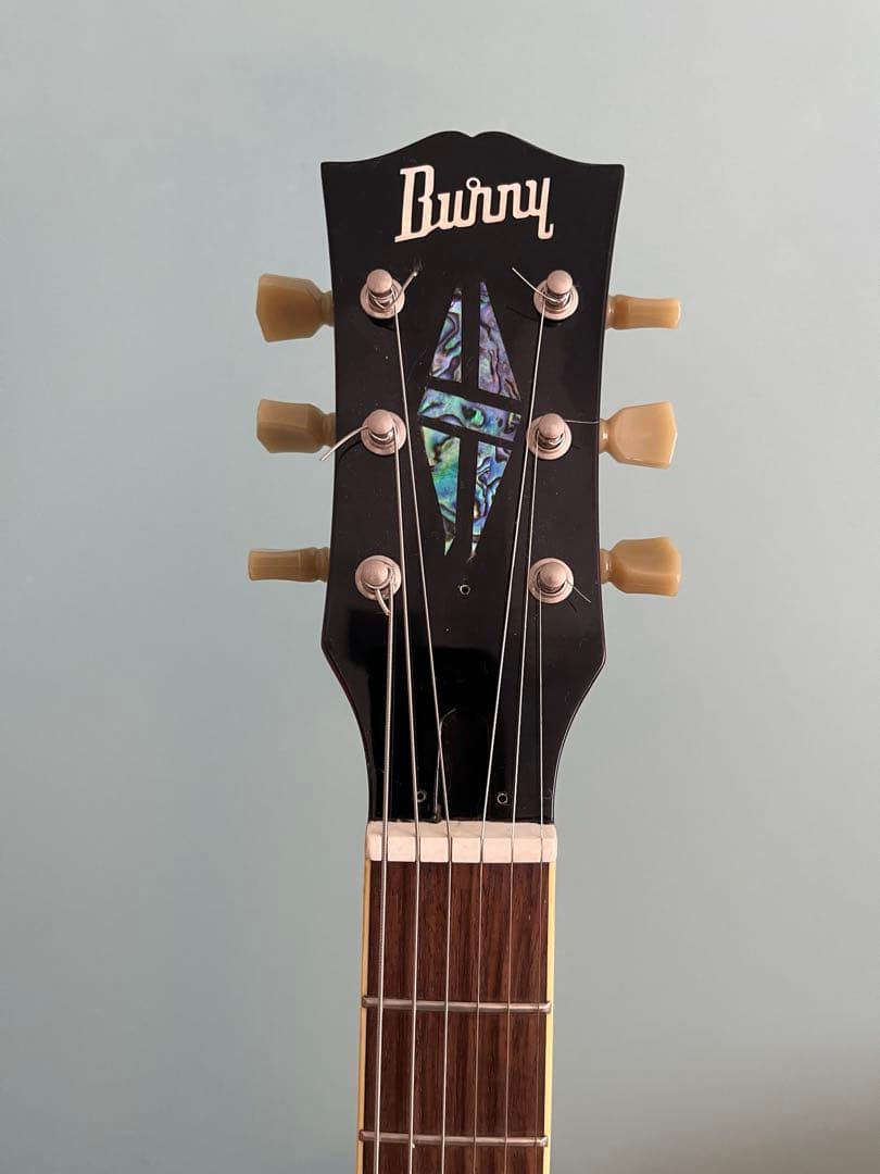 Burny バーニー RSA70ブランコテールピース　セミアコ　ハードケース付