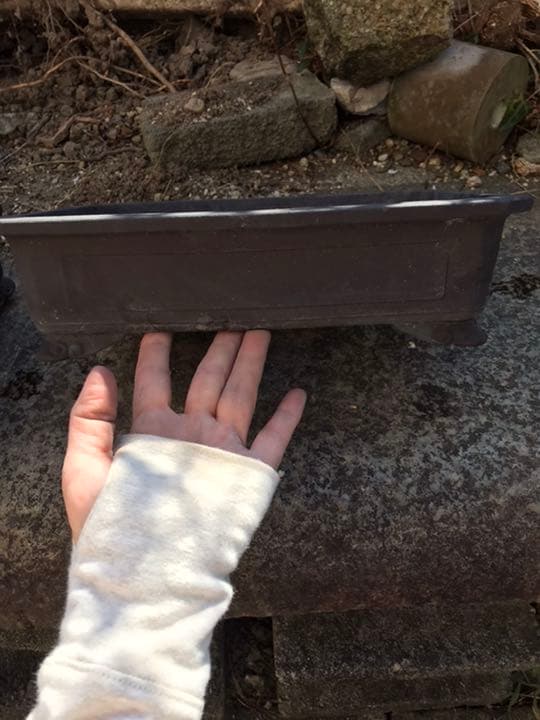 盆栽鉢　時代隅切り雲足長方鉢29.5x22x8盆栽鉢山野草サボテン寄せ植え植木鉢