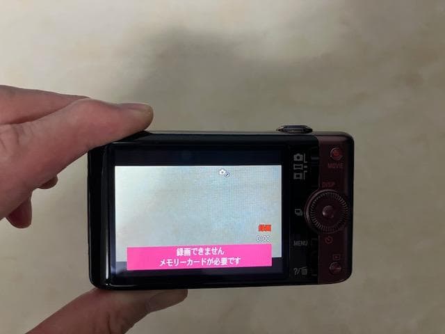 【動作確認済み】ソニー Cyber-shot DSC-WX100（ピンク）