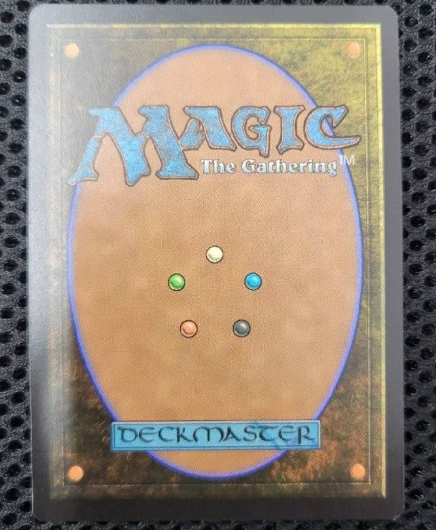 MTG エスティニアン・ヴァーリノ　拡張アート FOIL 日本語 FF