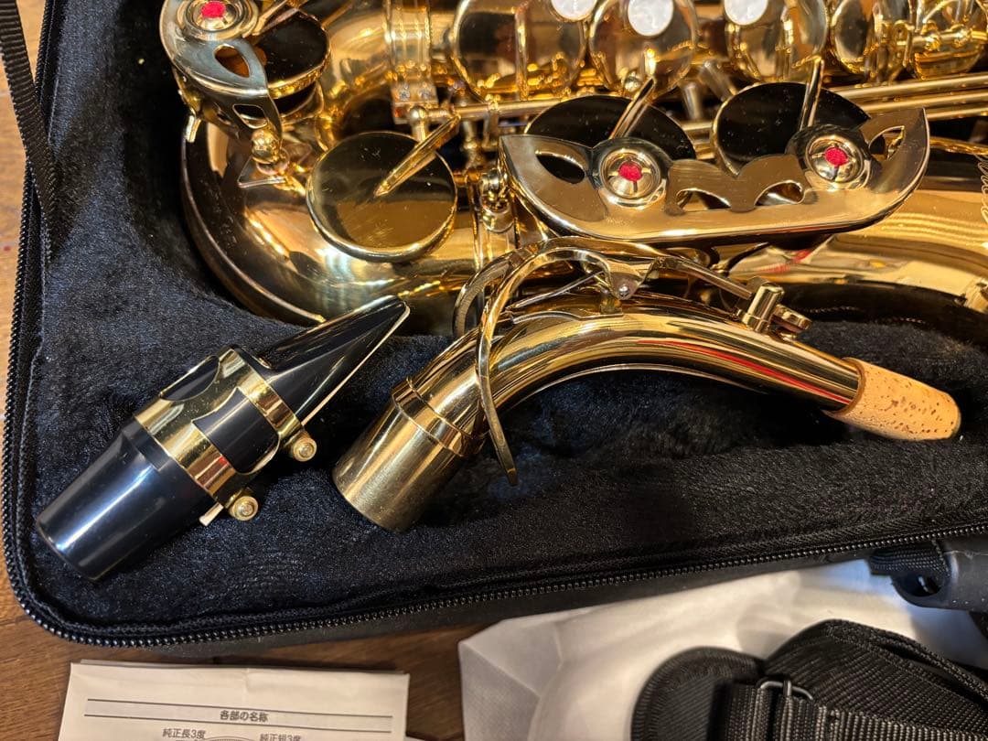 アルトサックス 初心者入門セット/ゴールド(送料込み)