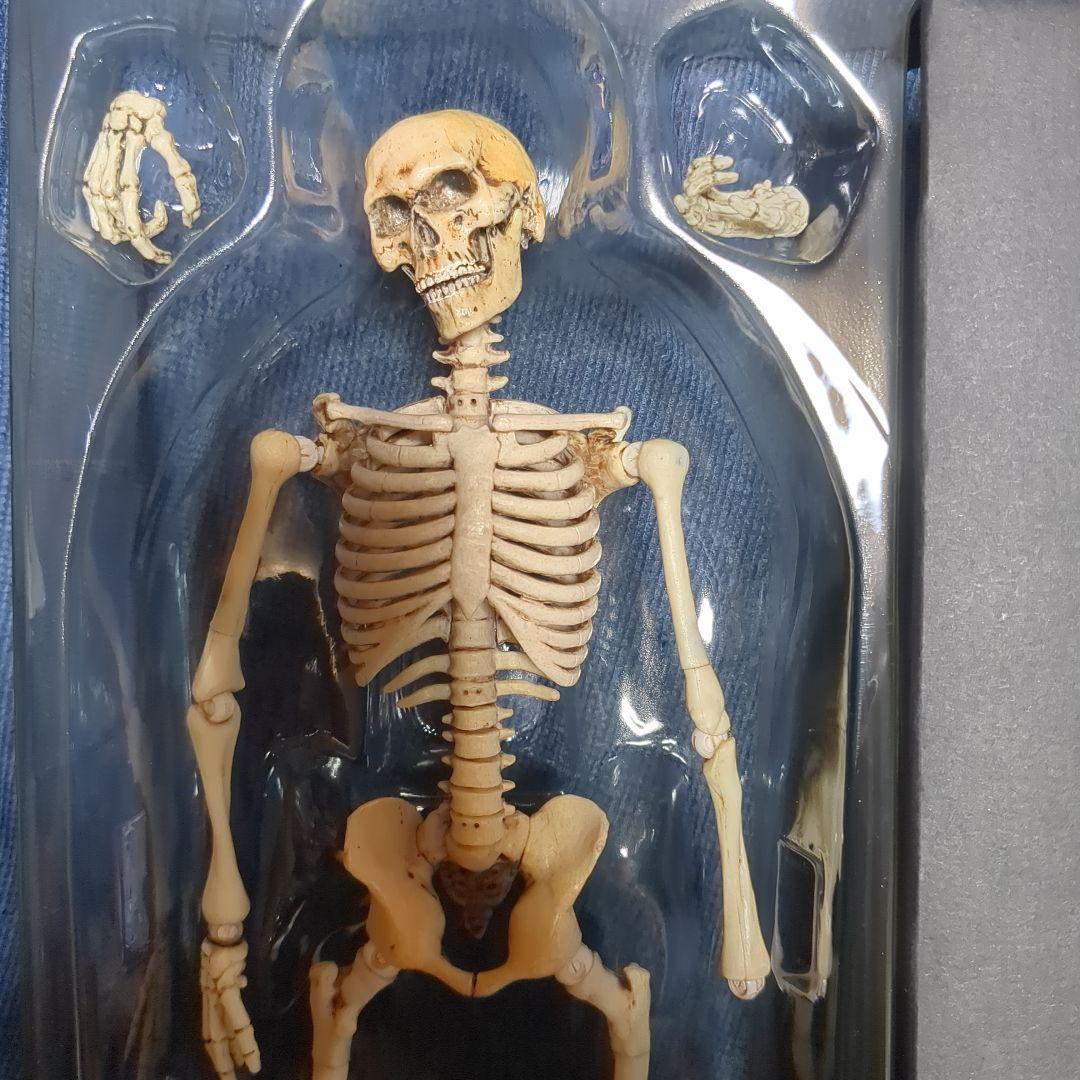 w1/6 12インチ COO MODEL スケルトンソルジャー