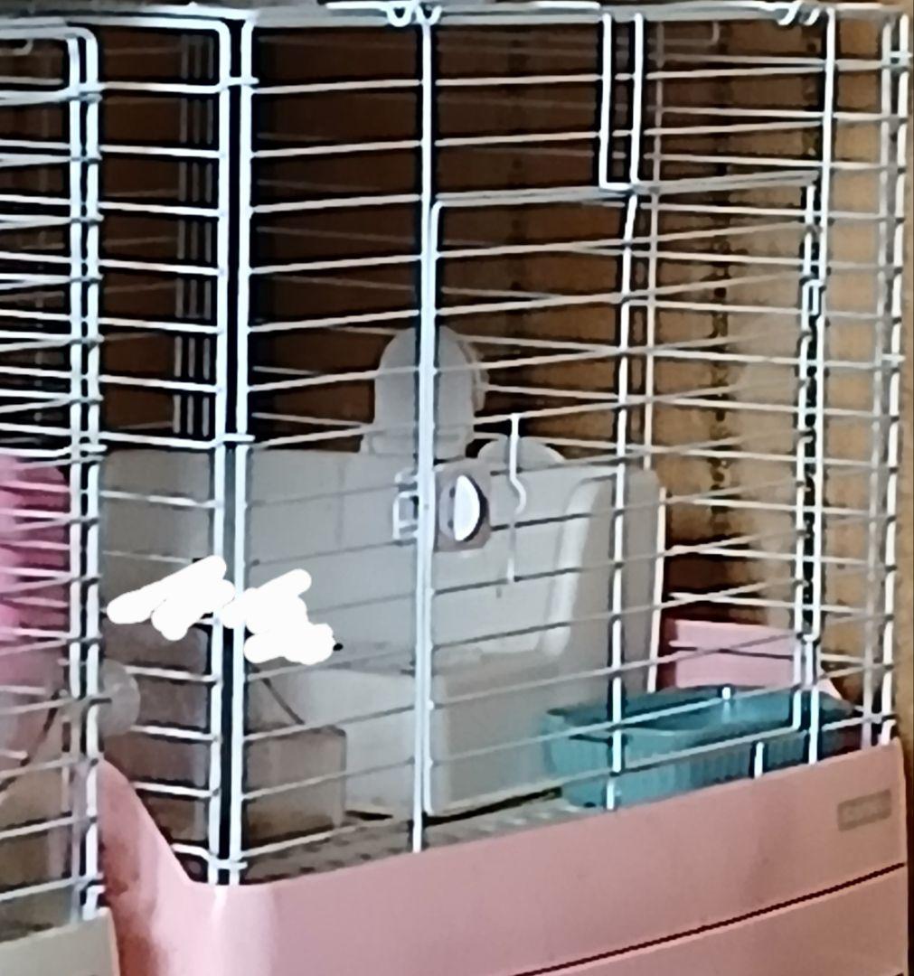 ２４日１２時までの出品　イージホーム　小動物用ケージ