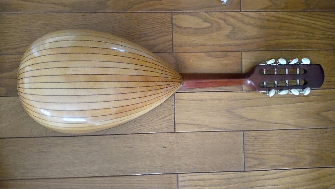 SUZUKI マンドリン M30 ハードケース・TUNING FORK（音叉）