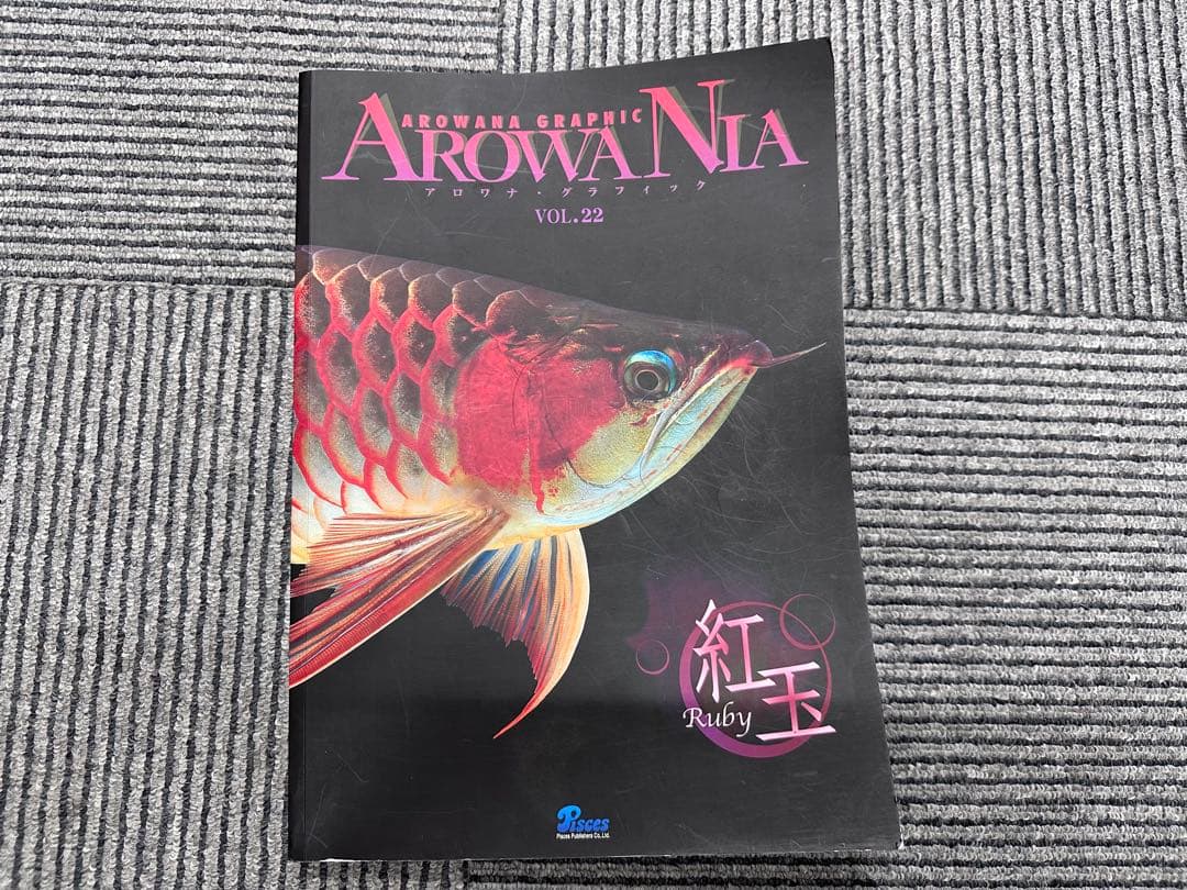 AROWANIA-アロワナグラフィック