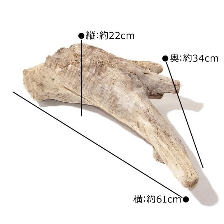 流木 インテリア レイアウト 61cm DIY アクアリウム 天然 rybk17