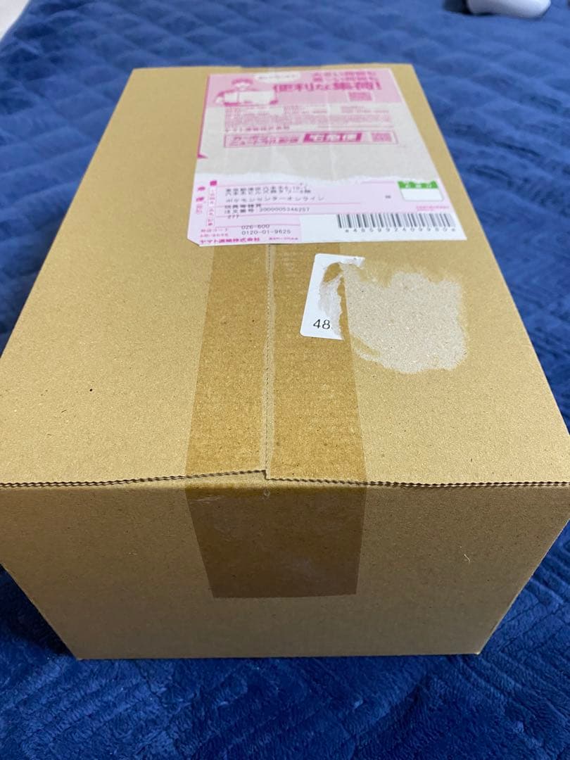 スペシャルBOX ポケモンセンター トウホク 追加分　新品未開封品