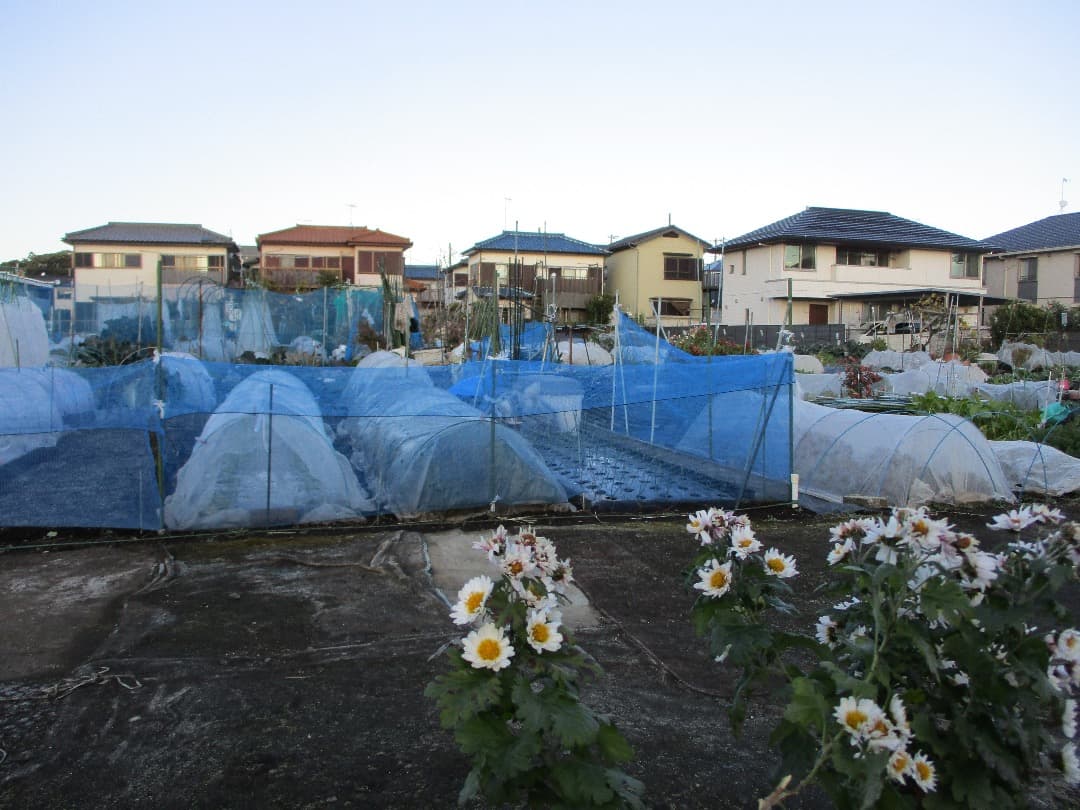 実写⭕️訳アリ【動作確認済】Canon IXY 200 PC2333 デジカメ