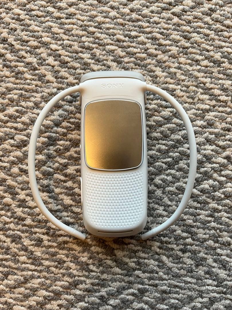 REONPOCKET5 SONY ソニー