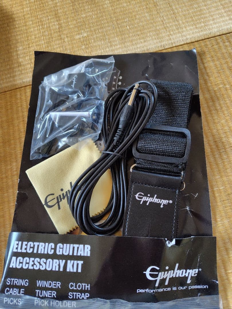 Epiphone casino coupe　カジノクーペ