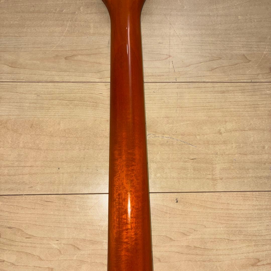 弦交換済み！激虎目　王道　laid back エレキギター レスポールタイプ