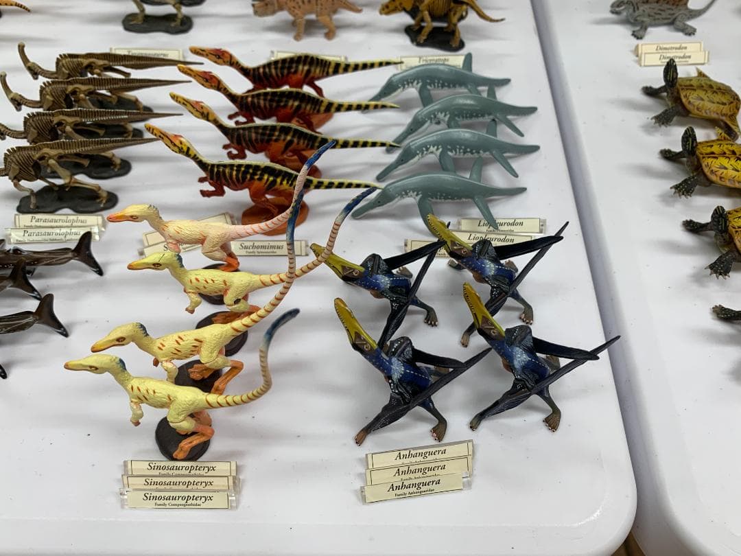 チョコラザウルス 第1、第2、第3、第4、リペイントシリーズ (262体)