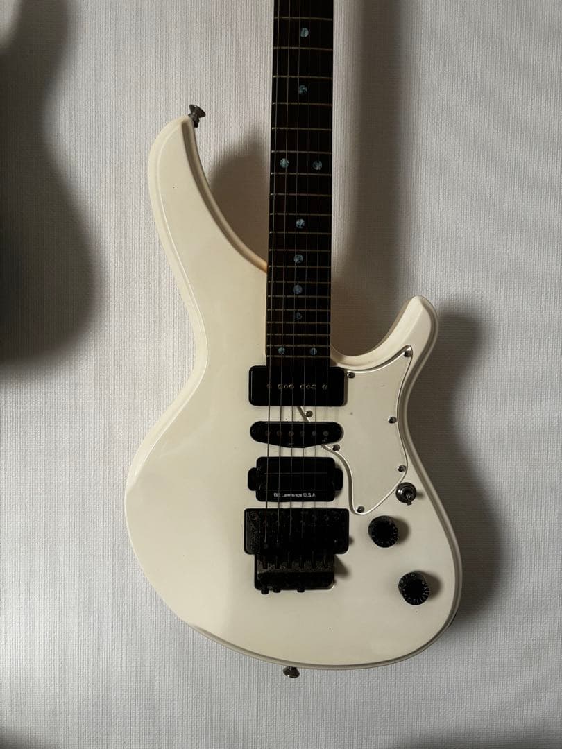 【しょうへい6845】Seed kotetsu