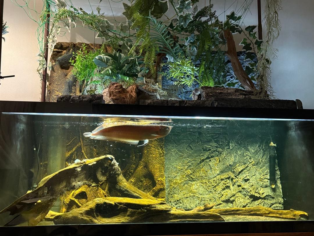 オーバーフロー濾過水セット(アクリル・120cm)　LED照明付(直接受渡歓迎)