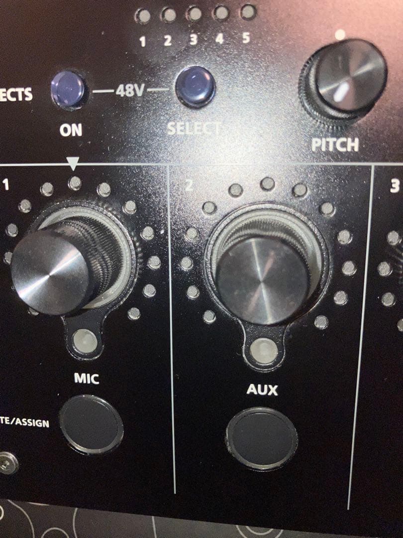 【最終値】Roland BRIDGE CAST おまけでXLRケーブル付き