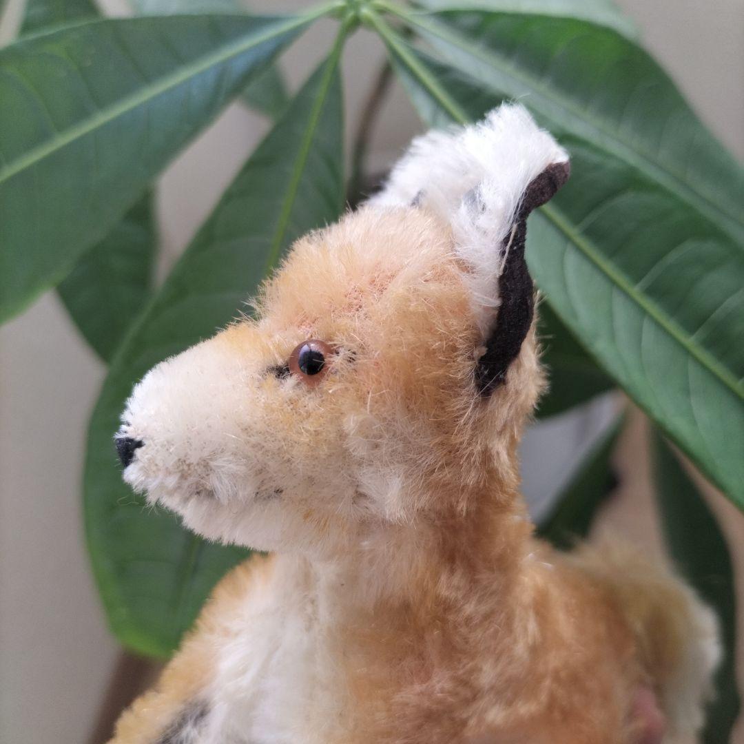 ビンテージ　シュタイフ　きつね　XORRY 小さいサイズ