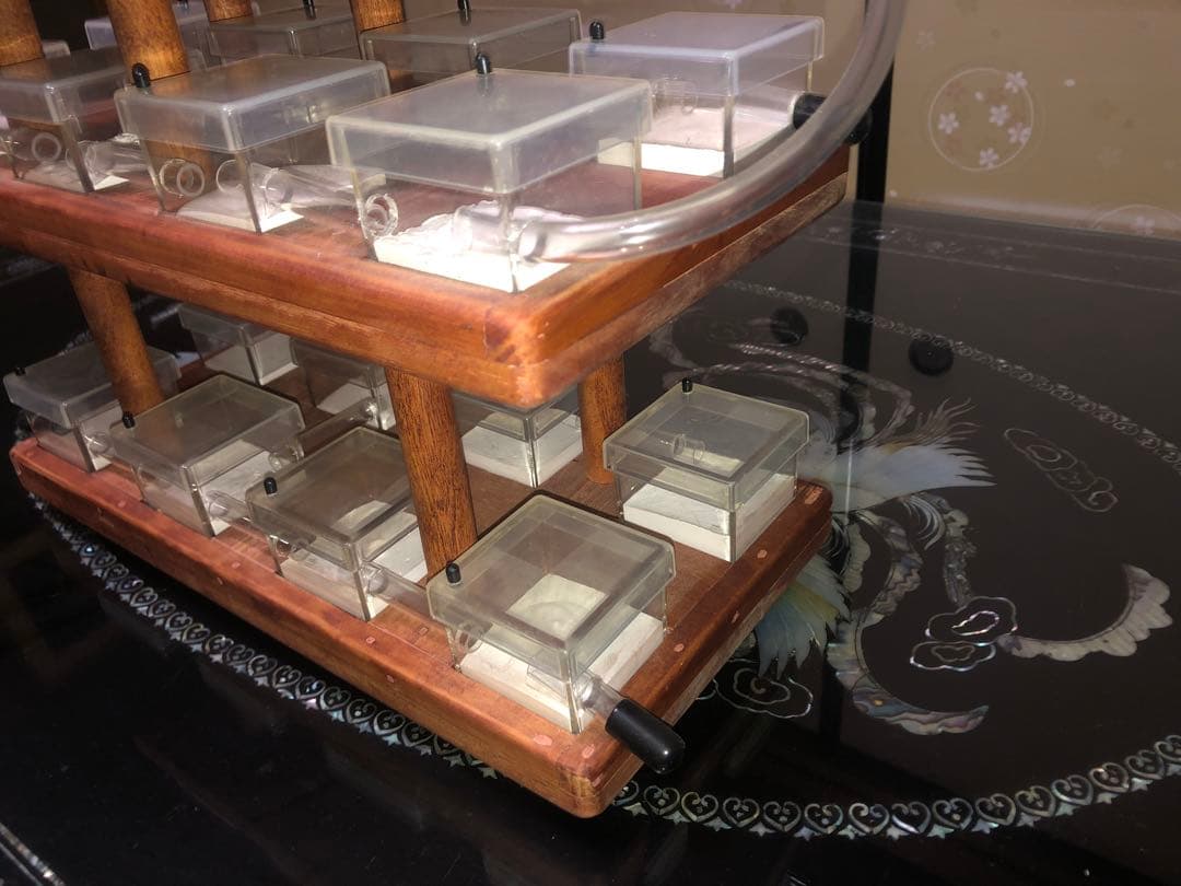 アリ　蟻　飼育ケース　巣　家　手作り