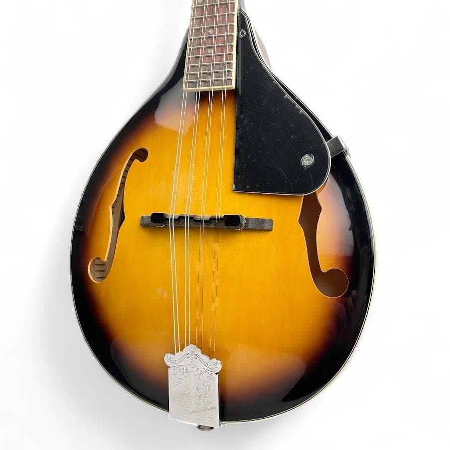 極美品●Donner● マンドリン DML-1 専用ケース付 サンバースト