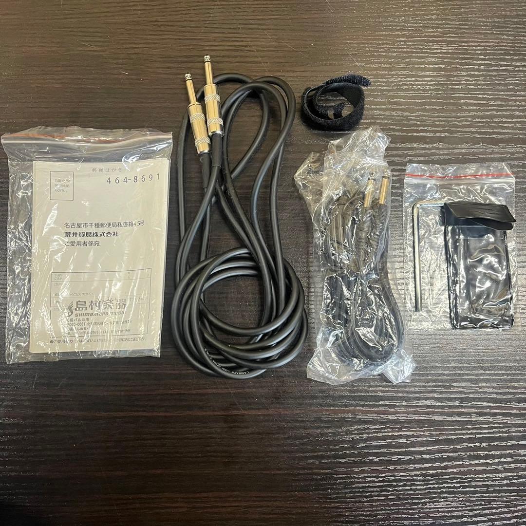 Blitz by AriaProⅡ Les Paul type エレキギター