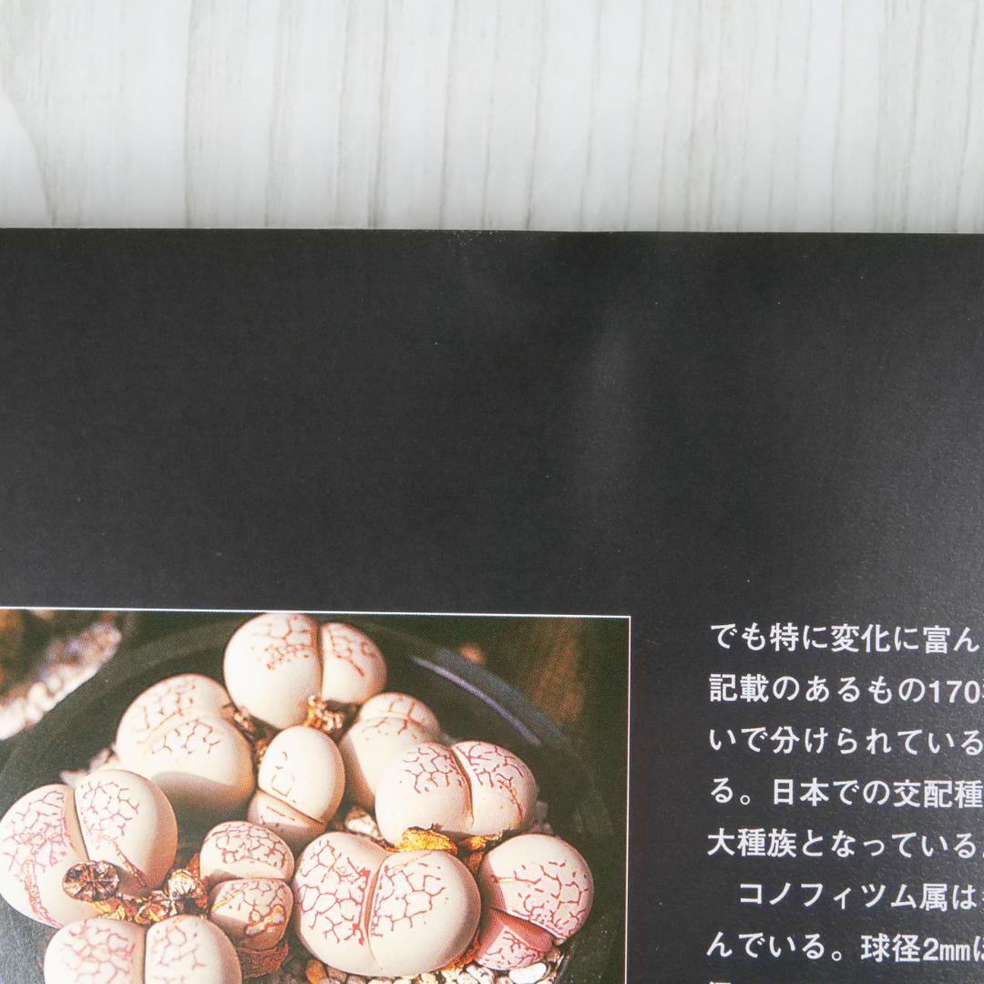 多肉植物写真集 第1巻 & 第2巻 セット