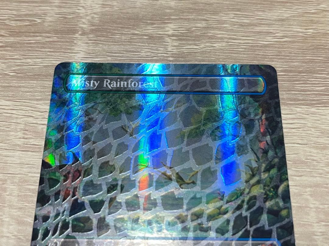 MTG タルキール　霧深い雨林　ドラゴンスケイル・Foil 英語　ボーダーレス