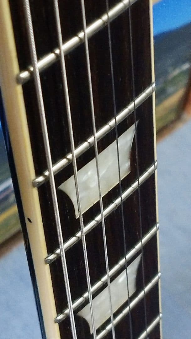 Epiphone Les Paul Standard Pro ギグバック付き