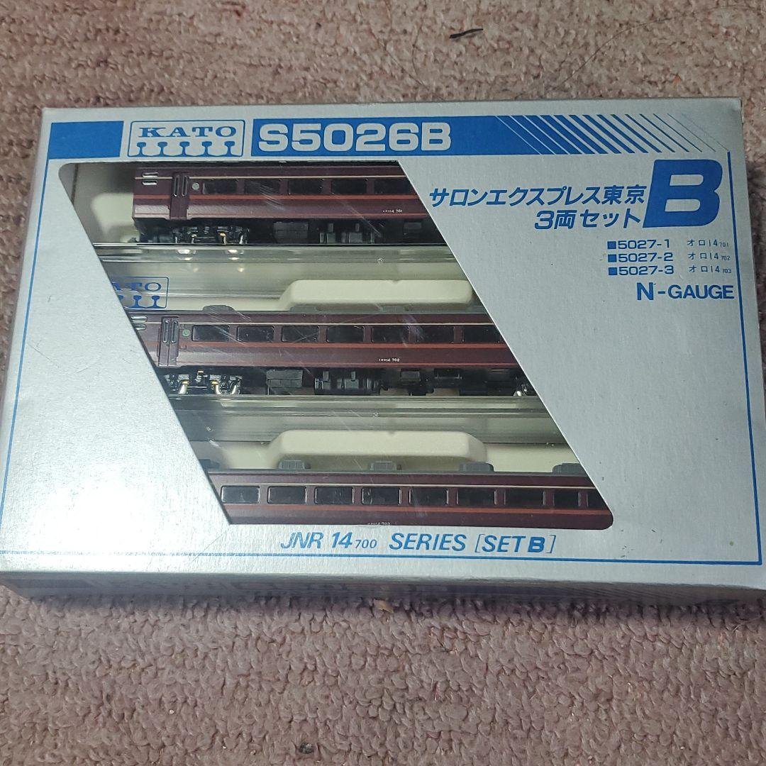 サロンエキスプレス東京　３両セット