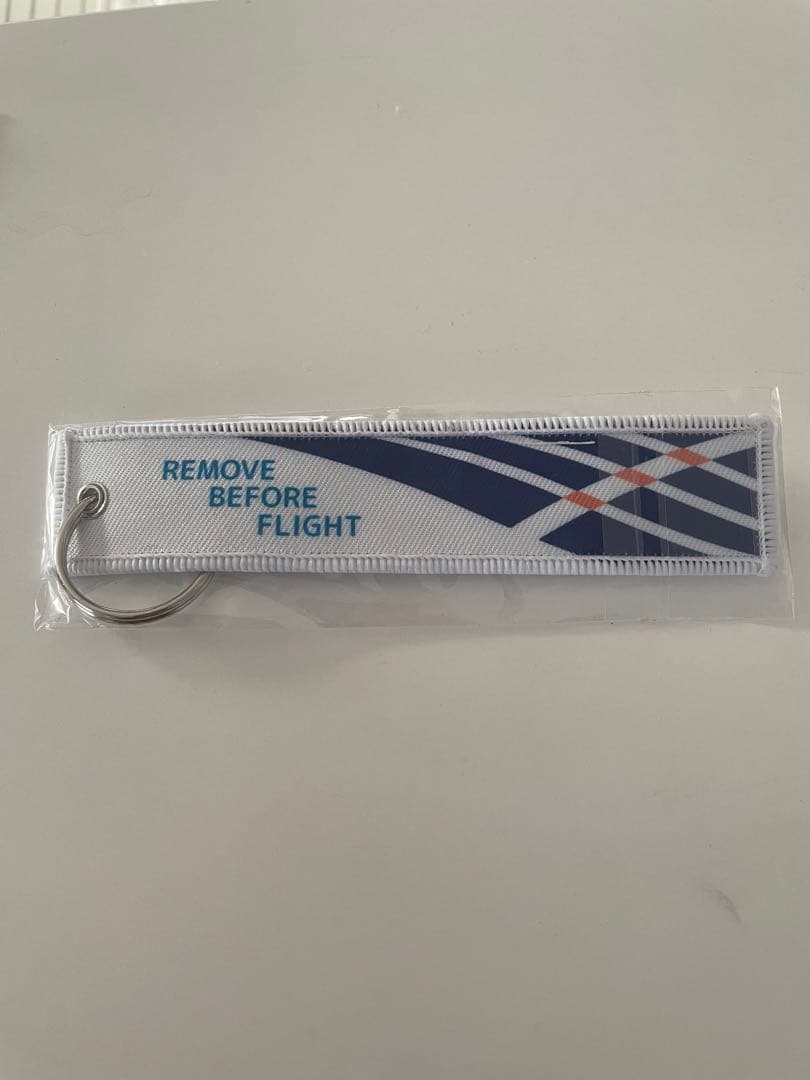 ANA フライトタグ　キーホルダー　希少　787便就航10周年記念