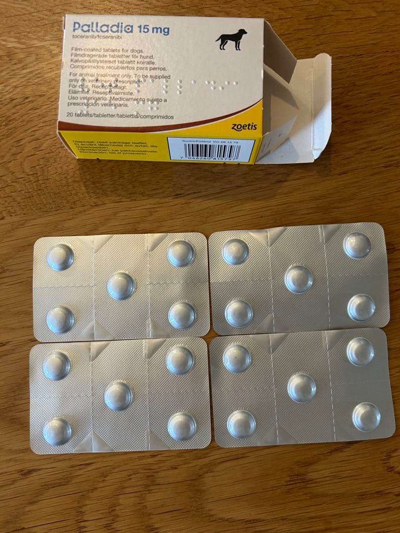 パラディア錠　未使用　20錠