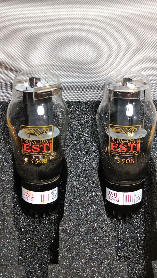 350B／6L6G.２本組、中国製