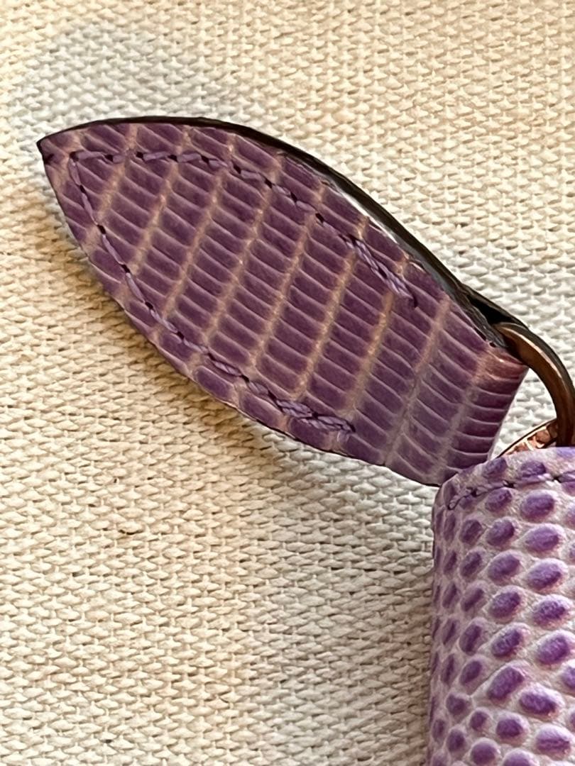 アシュフォード 万年筆 ペンケース ネオフィナードラベンダー 5本用