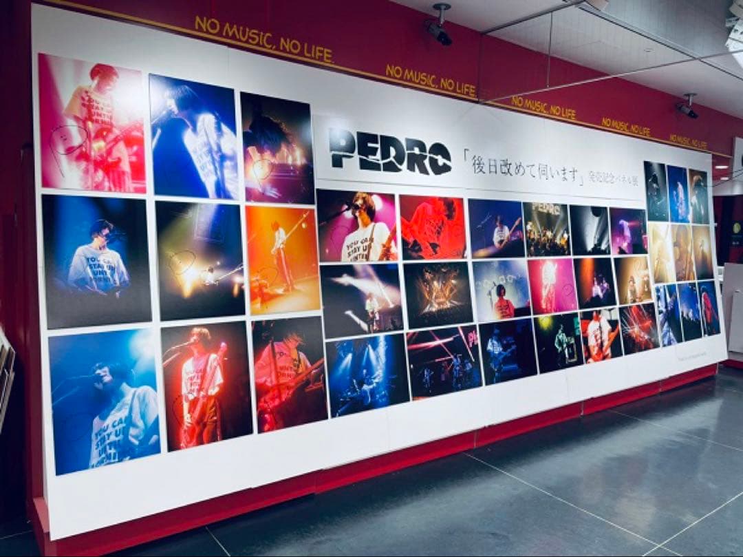 PEDRO ペドロ　アユニD サイン入り　パネル