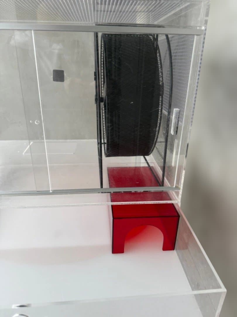 c*n様 ハリネズミ　アクリルケージ　メゾネット　飼育セット