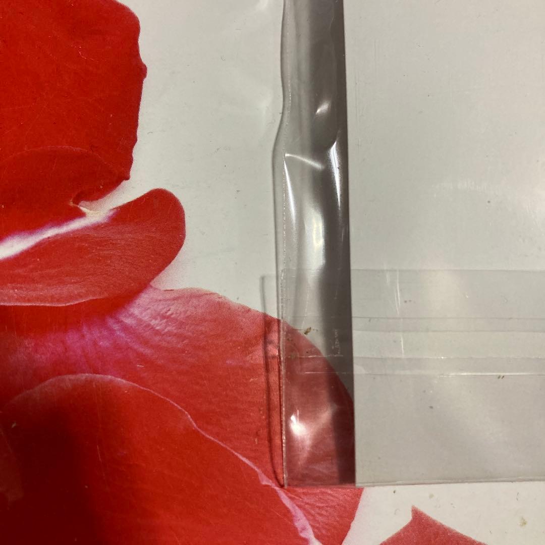 REBORN　JF2017　缶バッジセットA　沢田綱吉　リボーン　六道骸