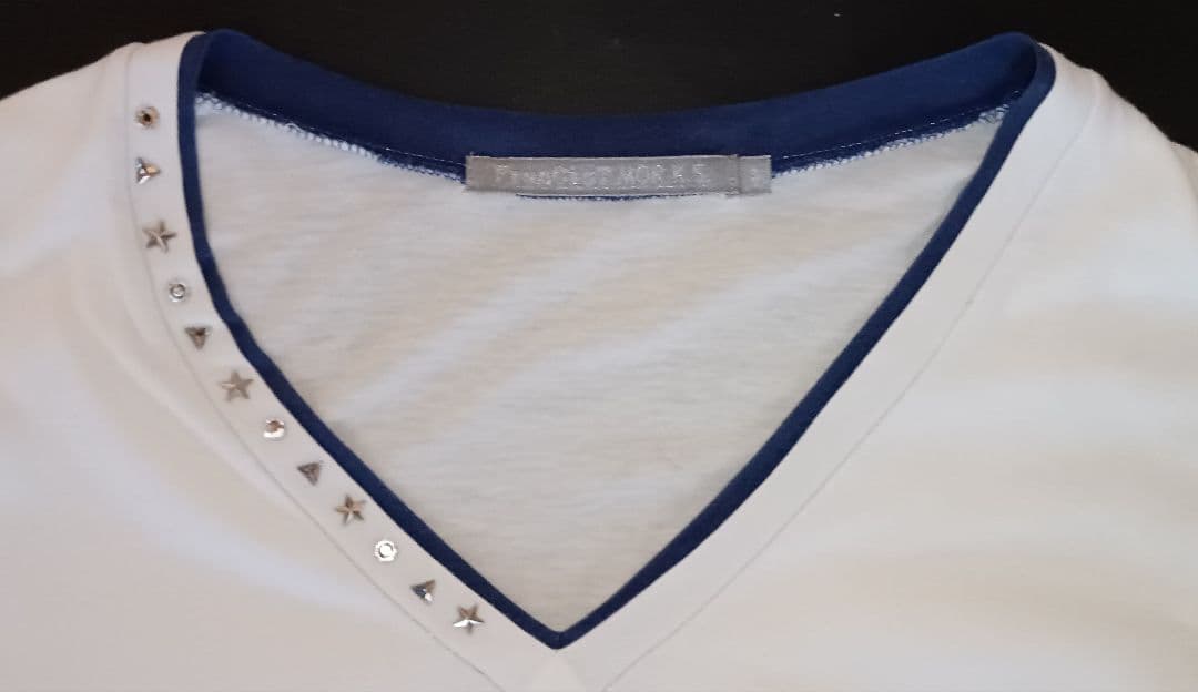 【No.38】ミスチル 桜井着 フランシストモークス カットソー＆ジレ 未完